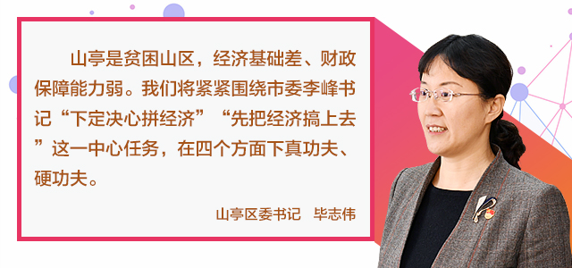枣庄山亭未来五年计划,枣庄市山亭区发展重点