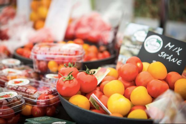 瑞典剧全集,瑞典最新动态