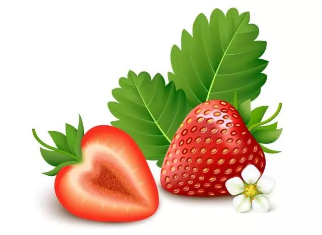 严查超标电动车原因,关于超标电动车责任认定