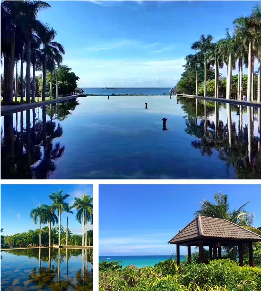 「头条」红树林春节预售优惠升级！888元起住亚龙湾，欢度温暖新春~