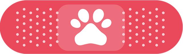 常见的日本零食有哪些,日本儿童零食排行榜前十名