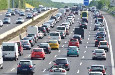 2019年这些统统免费！金乡的你不知道就亏大了