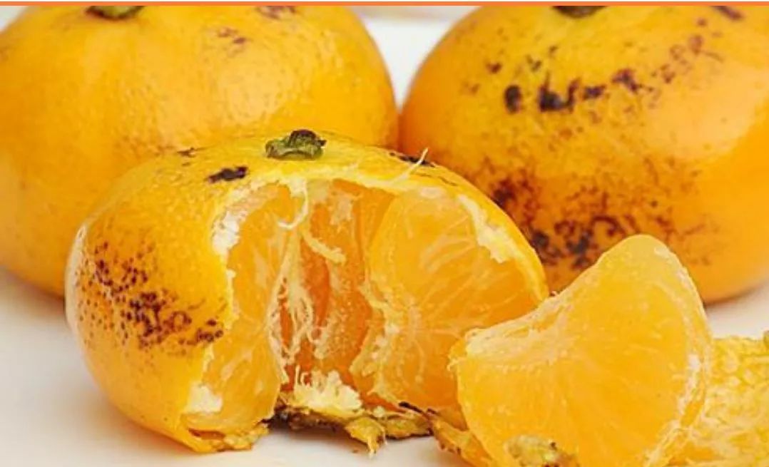 吃橘子上火怎么快速解决,橘子吃多了上火去火的方法