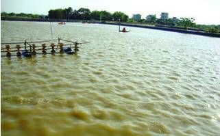 蟹塘水体浑浊如何调整,虾蟹塘水质浑浊怎么办