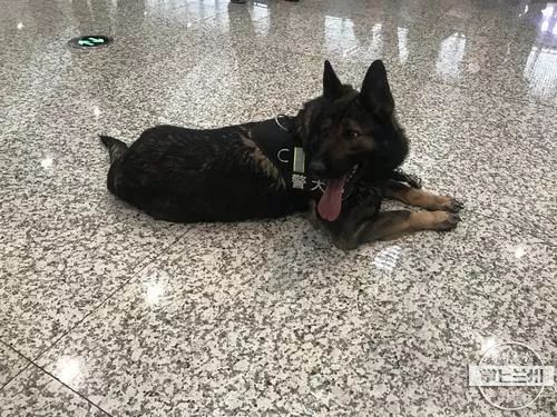 回家回家是哪首歌的歌词,回家回家回家才是最好的礼物