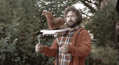 鸡头上装摄像头拍摄,鸡头摄像头拍摄视频