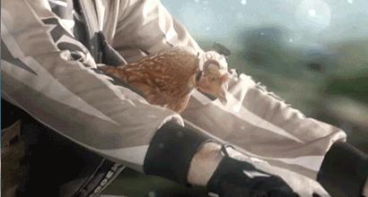 鸡头上装摄像头拍摄,鸡头摄像头拍摄视频