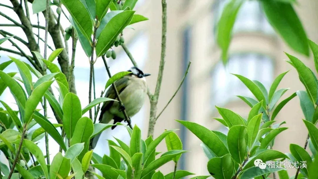 尤溪县天气几度回暖了呢,尤溪近三个月天气