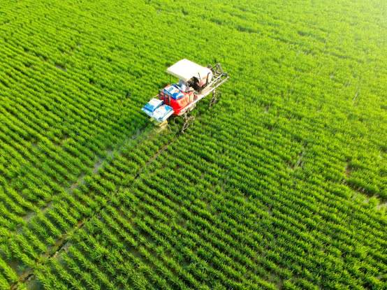 江苏如皋凭“大健康魅力”圈粉，为更“氢”盈的生活做出“如皋贡献”！