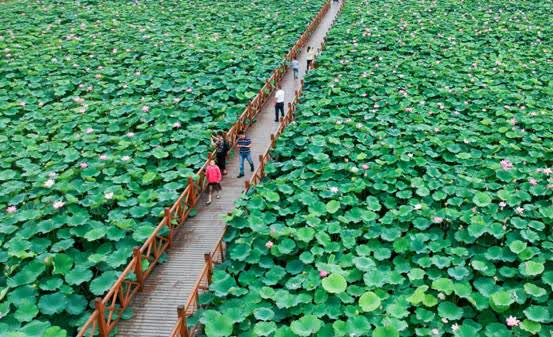江苏如皋凭“大健康魅力”圈粉，为更“氢”盈的生活做出“如皋贡献”！