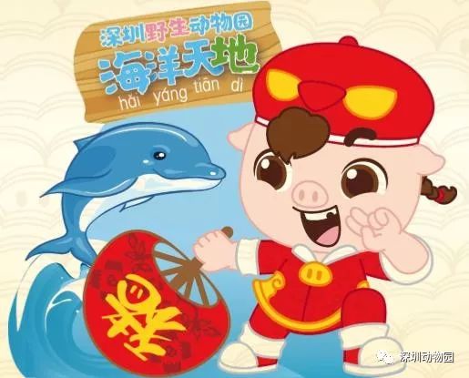 猪猪侠进入熊出没世界,猪猪侠限量金猪