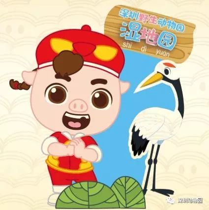 猪猪侠进入熊出没世界,猪猪侠限量金猪