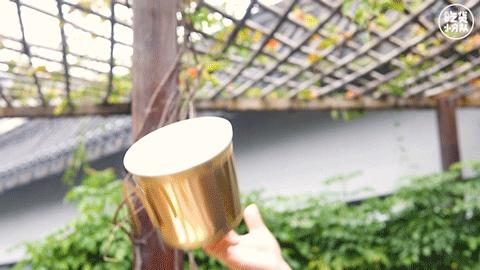 “纯金”麦当劳，第①次那么奢侈