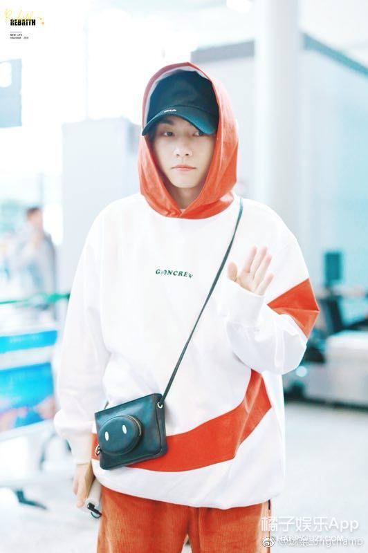 纪梵希guccit恤,gucci设计动物灵感