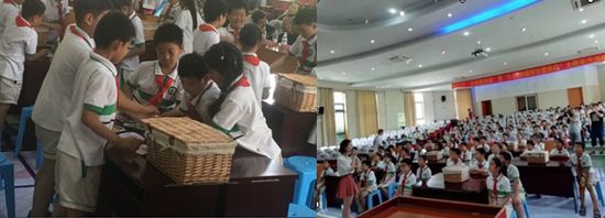 营养与食品卫生学课程导图,食品营养与卫生安全课程总结