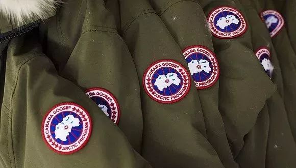 考拉加拿大鹅新消息,网易考拉加拿大风波