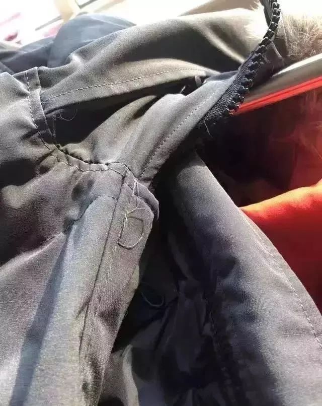 考拉加拿大鹅新消息,网易考拉加拿大风波