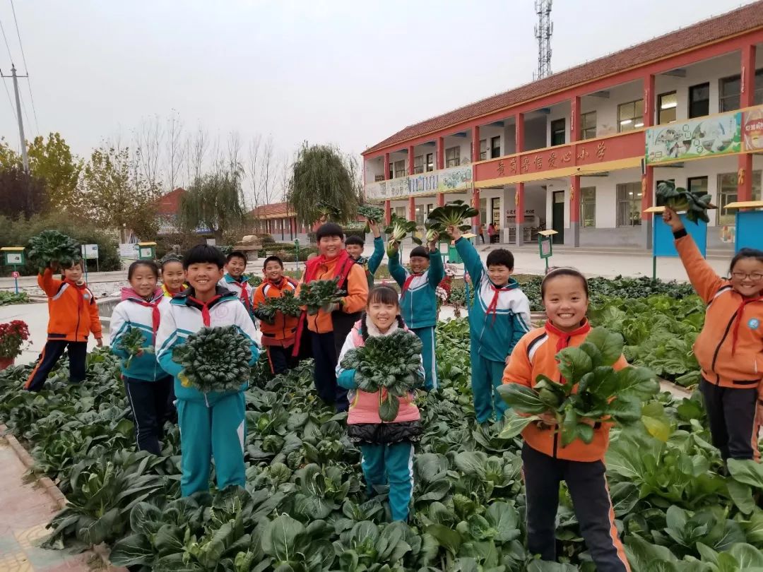 农村娃的快乐王国——郓城黄岗小学“田园课程”魅力何在？