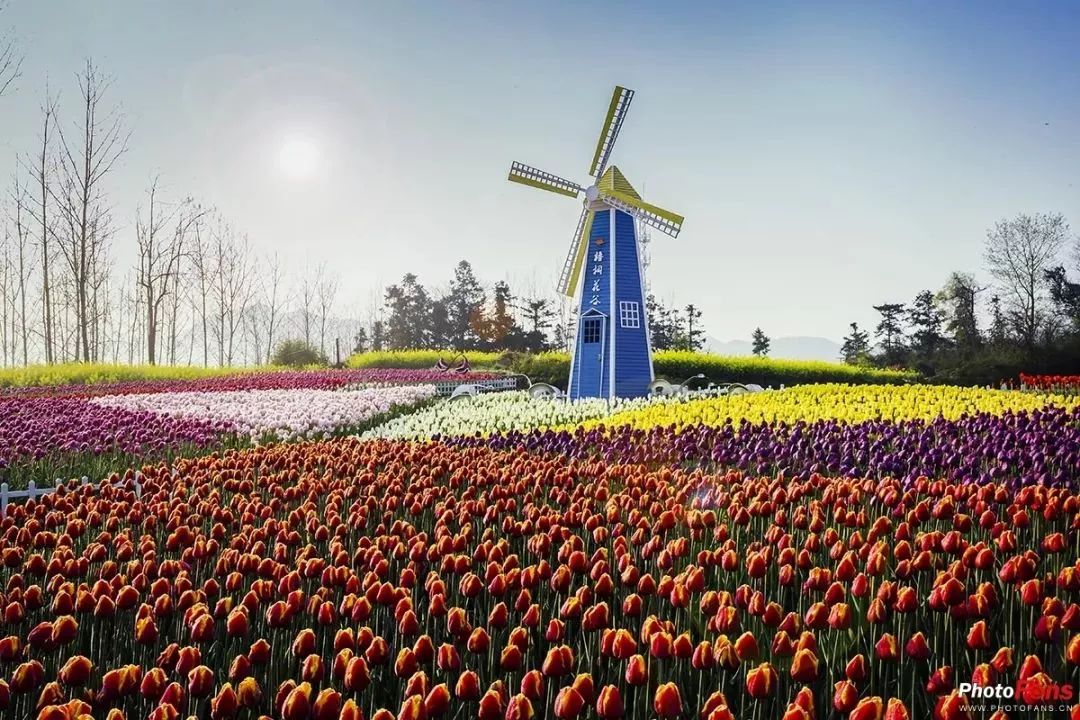 铜陵市的真实生活,回到铜陵的真实感受