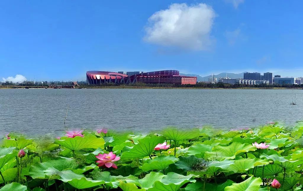 铜陵市的真实生活,回到铜陵的真实感受