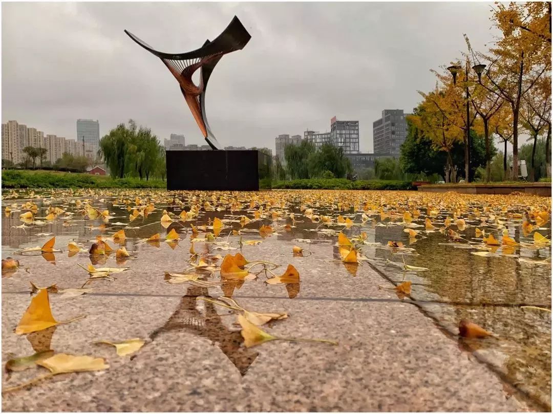 铜陵市的真实生活,回到铜陵的真实感受