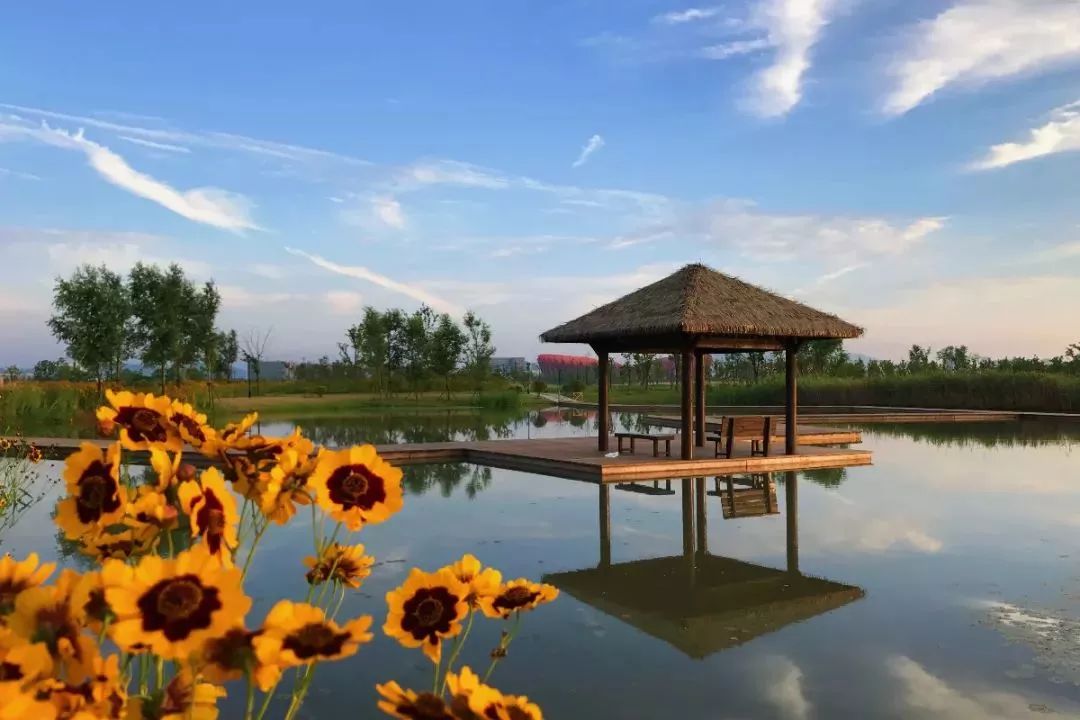 铜陵市的真实生活,回到铜陵的真实感受