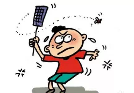 官方支招教你如何除四害,科普图解爱国卫生月如何除四害