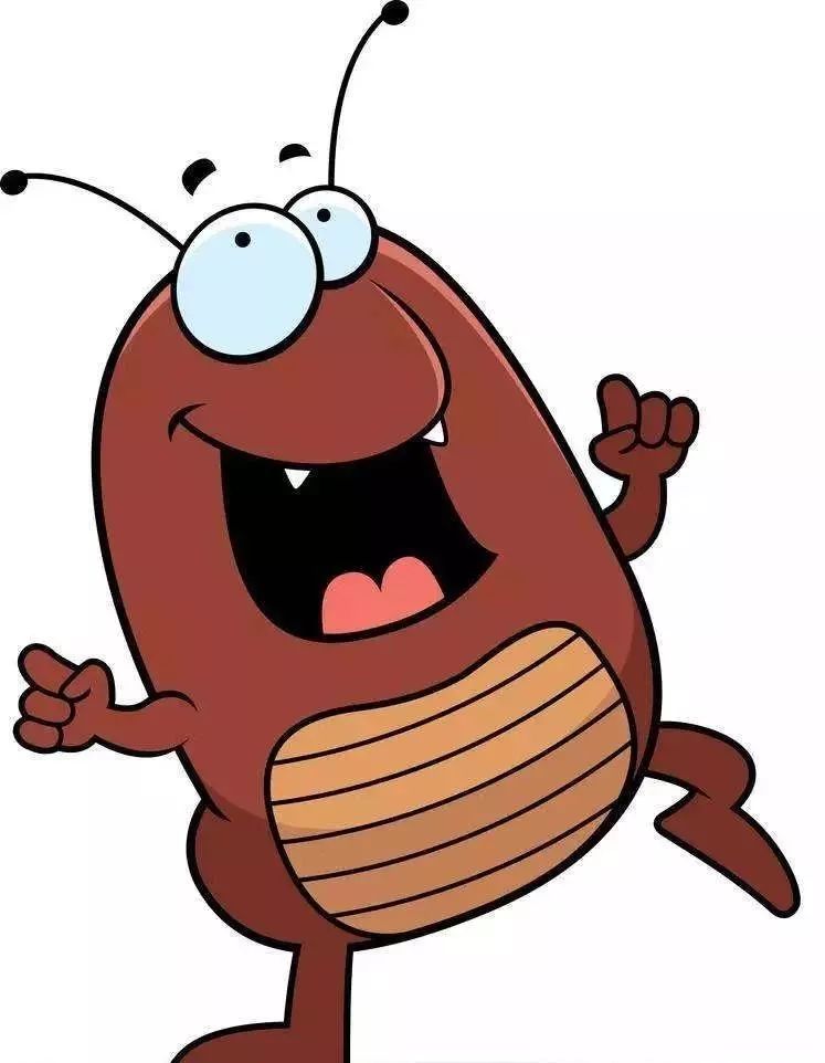 官方支招教你如何除四害,科普图解爱国卫生月如何除四害