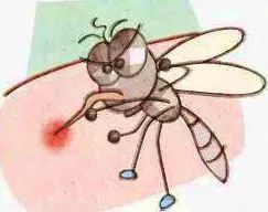 官方支招教你如何除四害,科普图解爱国卫生月如何除四害