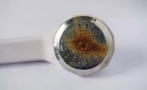 团购预告｜用了这款淋浴神器，才发现洗了20多年假澡！