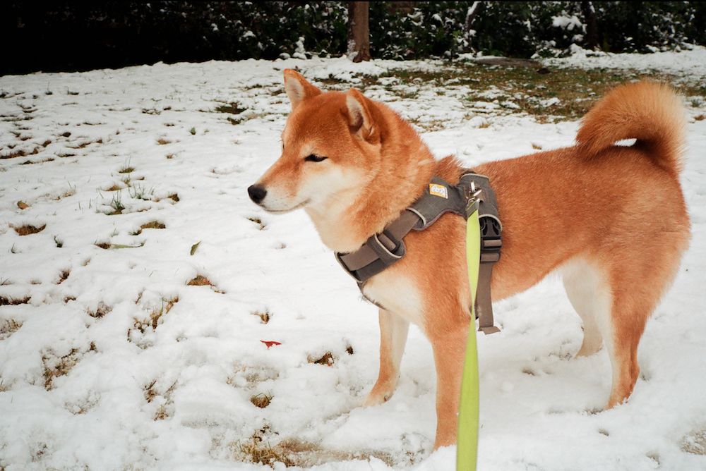 这件事，真没那么说不出口