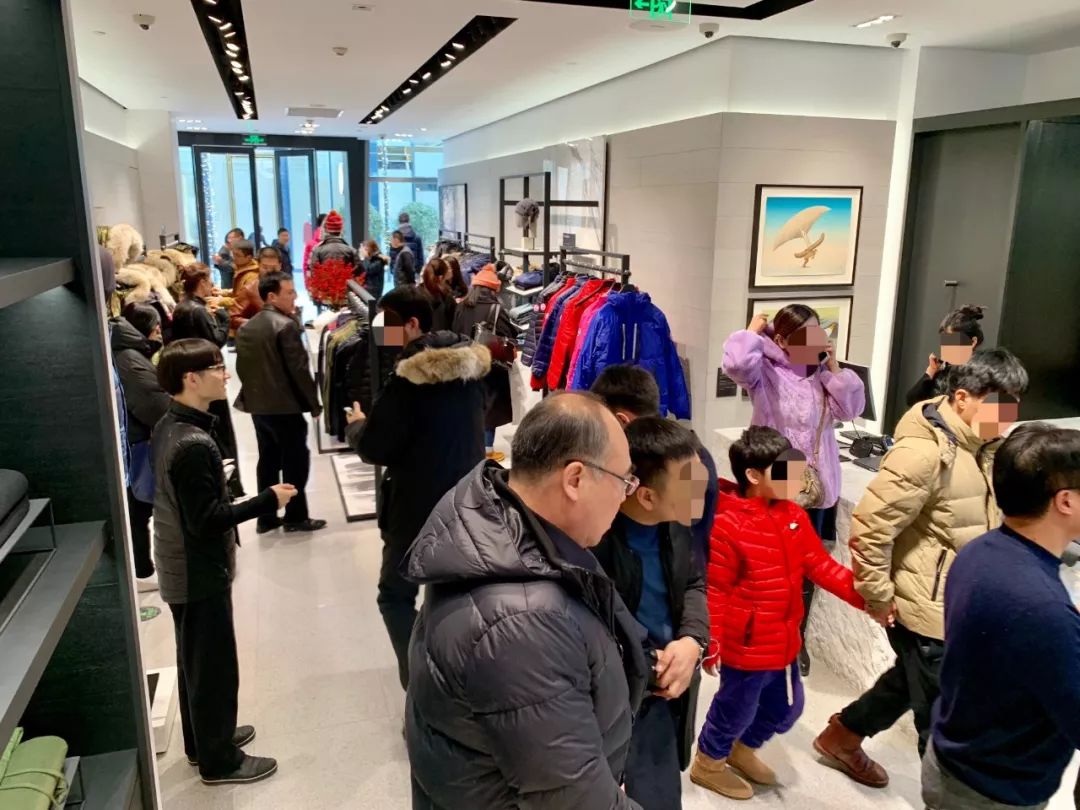 加拿大鹅遍布大街小巷,加拿大鹅北京街