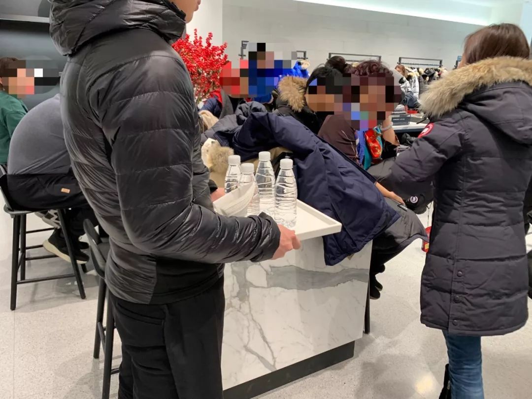 加拿大鹅遍布大街小巷,加拿大鹅北京街