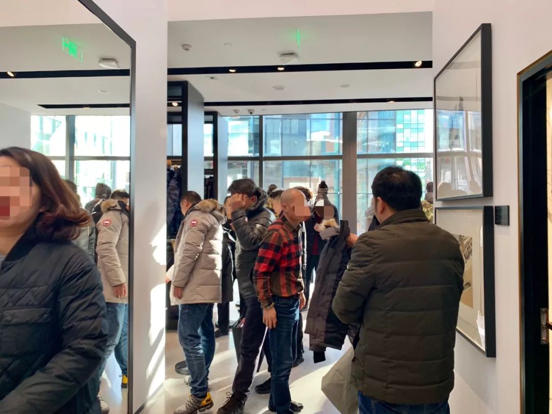 加拿大鹅遍布大街小巷,加拿大鹅北京街