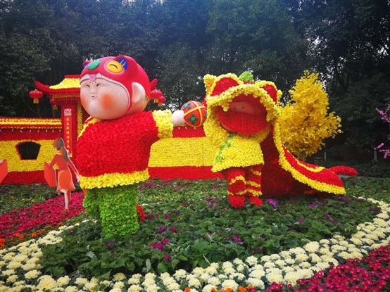 富乐山花展,富乐山菊花展