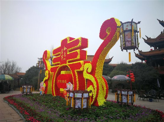 富乐山花展,富乐山菊花展