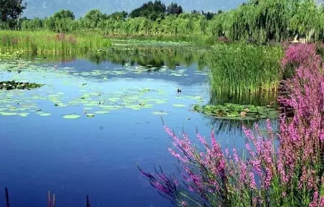 云南旅游全攻略自由行先去哪 (云南旅游自由行省钱攻略)