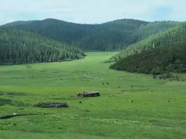 云南旅游全攻略自由行先去哪 (云南旅游自由行省钱攻略)