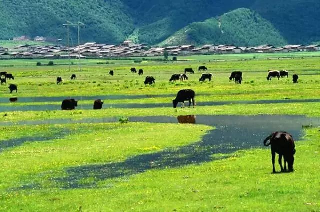 云南旅游全攻略自由行先去哪 (云南旅游自由行省钱攻略)