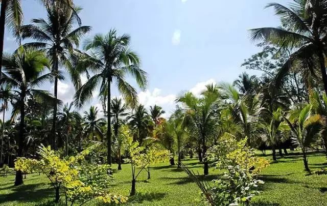 云南旅游全攻略自由行先去哪 (云南旅游自由行省钱攻略)