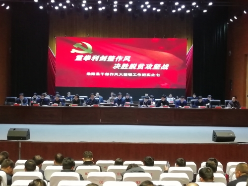 今年淮阳区十大实事,淮阳县人民政府最新工作安排