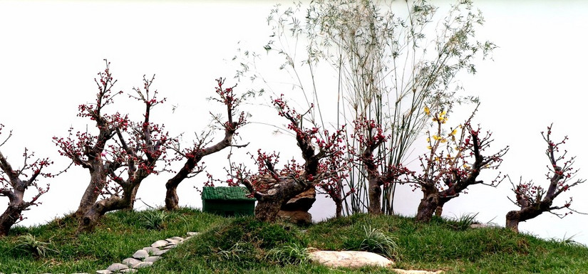 鄢陵中原花木博览会门票,鄢陵中原花木博览园电话