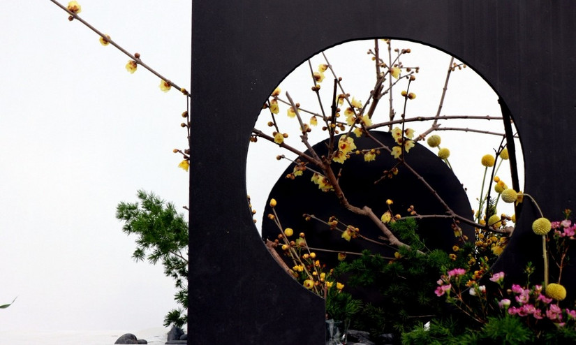 鄢陵中原花木博览会门票,鄢陵中原花木博览园电话