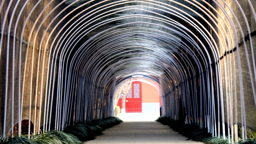 鄢陵中原花木博览会门票,鄢陵中原花木博览园电话