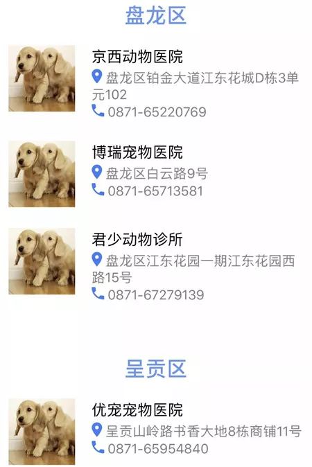 昆明养犬登记说明,昆明养犬证怎么办