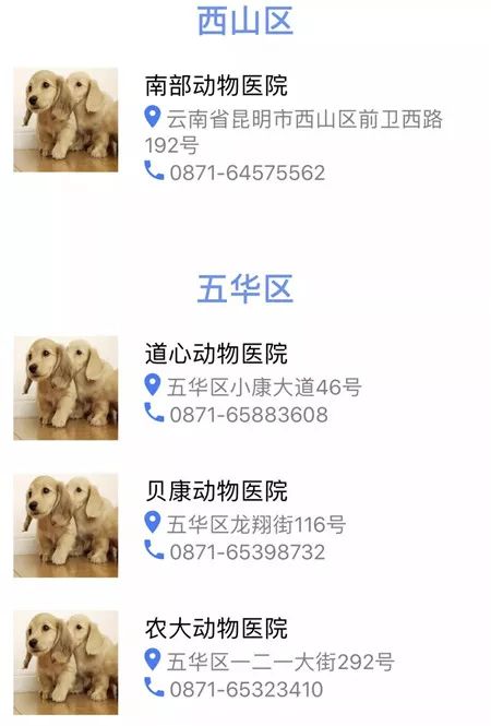 昆明养犬登记说明,昆明养犬证怎么办