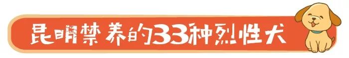 昆明养犬登记说明,昆明养犬证怎么办