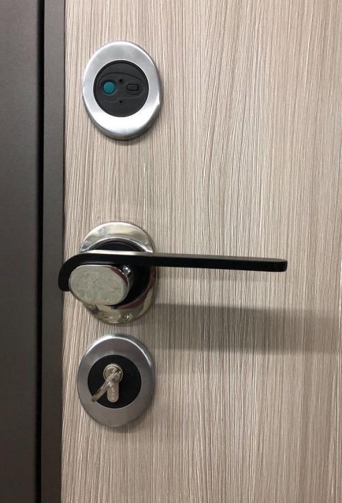 德国智能锁和国产智能锁哪个好,老牌智能锁有哪些