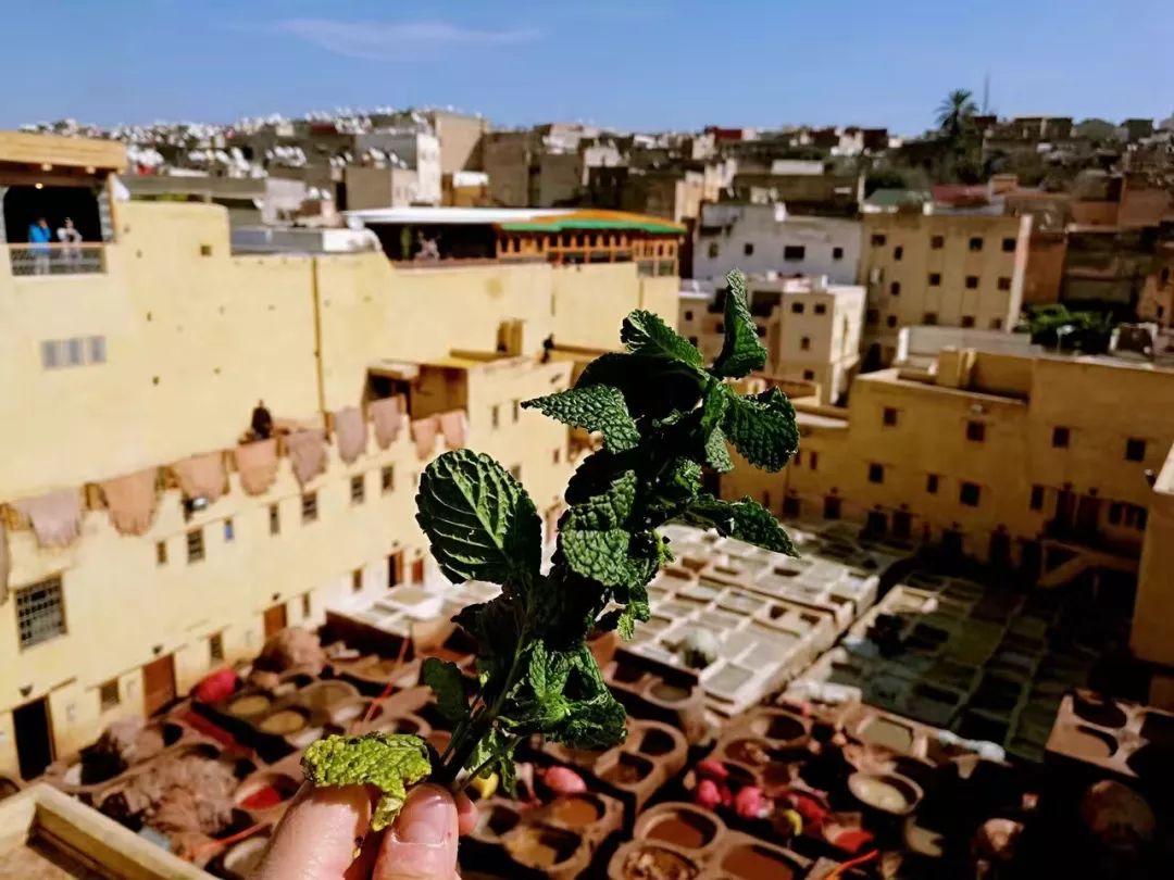 非洲有座很臭的城，却是“好色者”的天堂