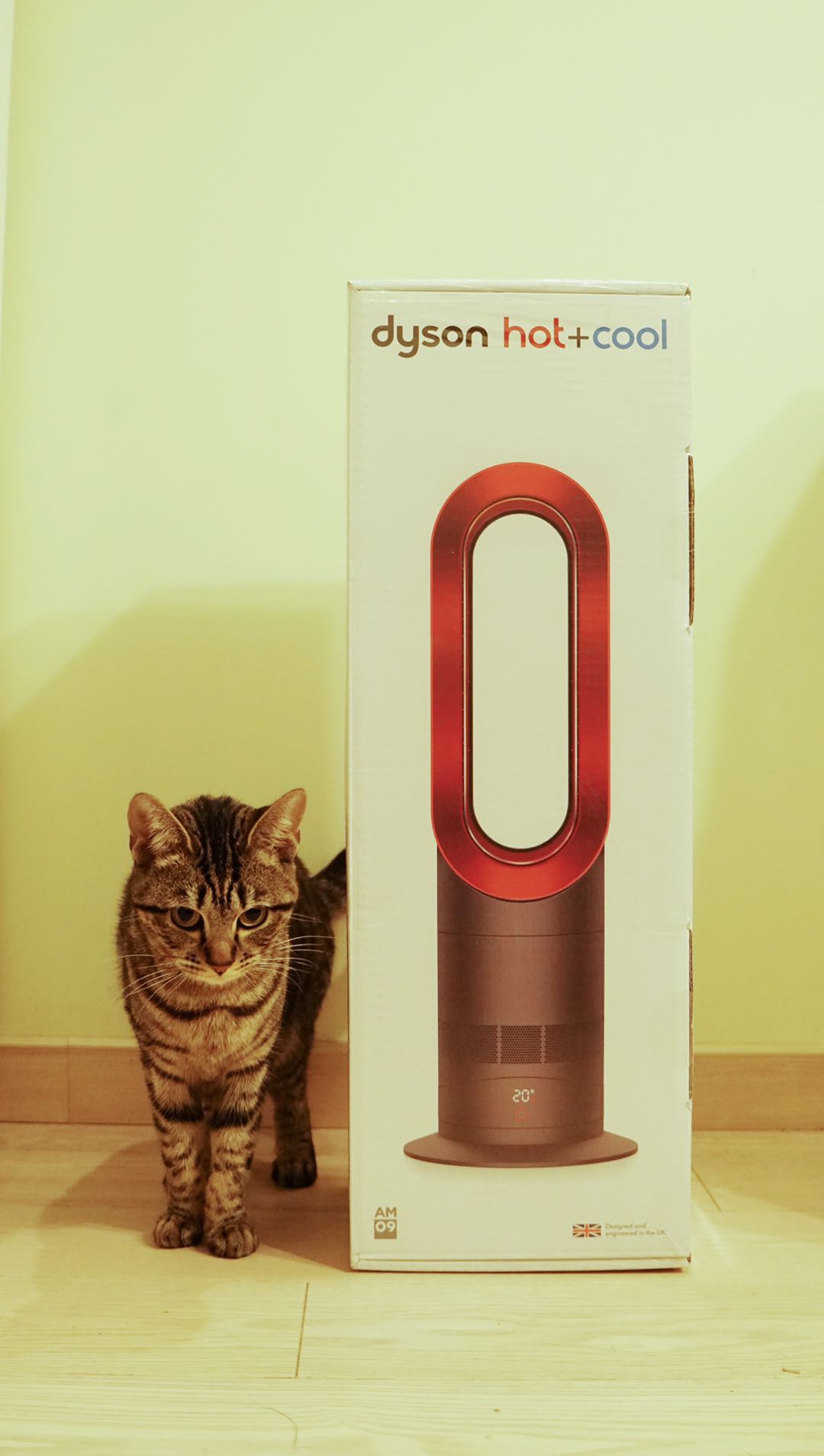 戴森暖风机值得入手的冬季神器,戴森暖风扇出新款吗